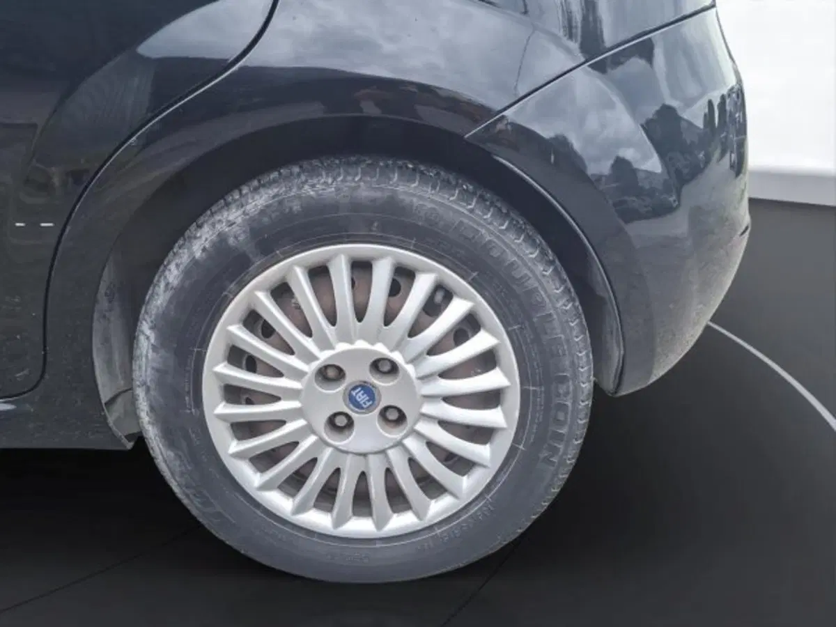 Fiat Punto Evo usata a Perugia (15)