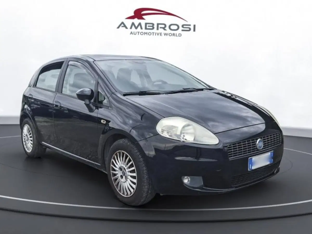 Fiat Punto Evo usata a Perugia (2)