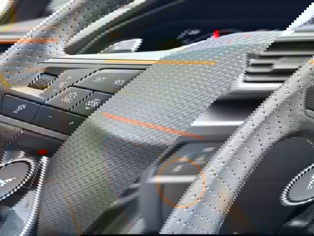 Cupra Formentor usata a Vicenza (20)