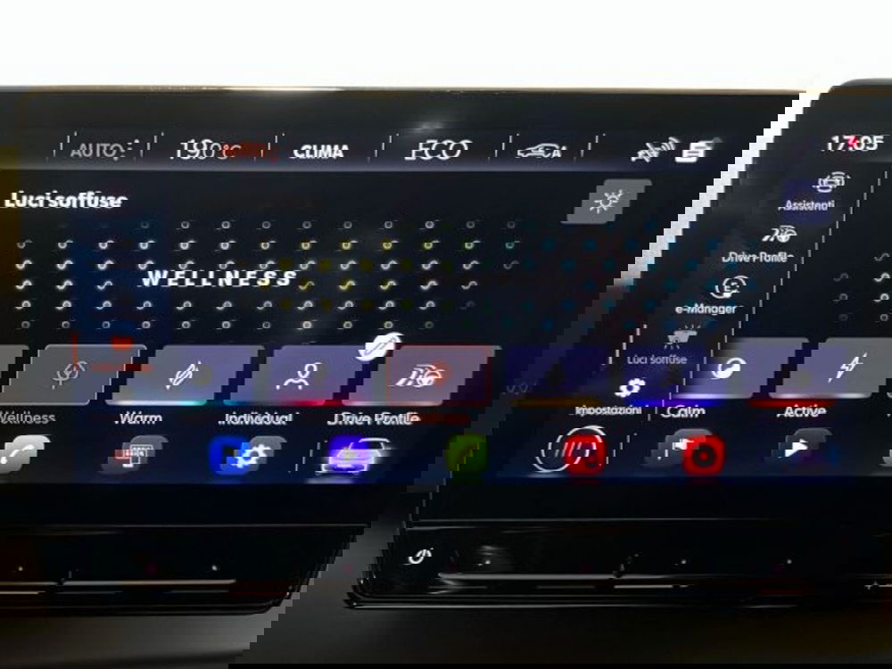 Cupra Born usata a Vicenza (19)