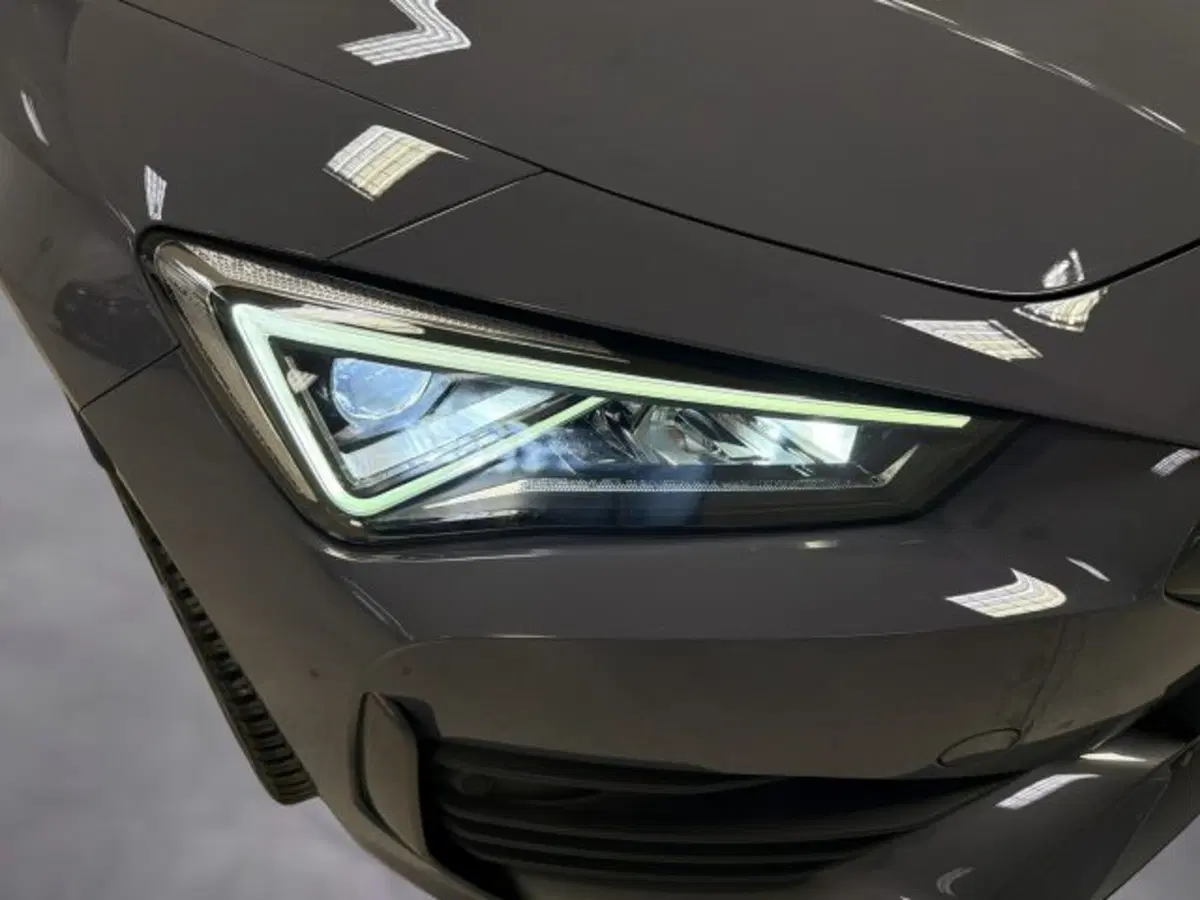 Cupra Leon usata a Vicenza (19)