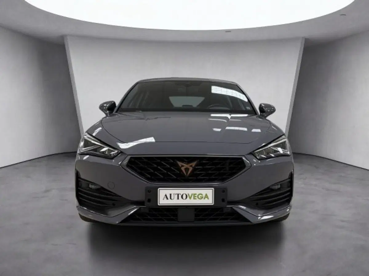 Cupra Leon usata a Vicenza (2)