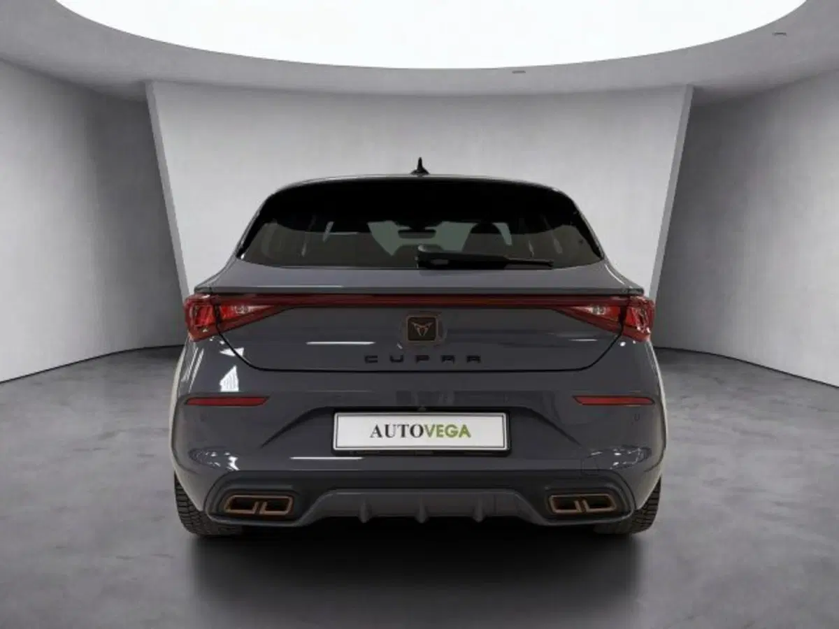 Cupra Leon usata a Vicenza (5)