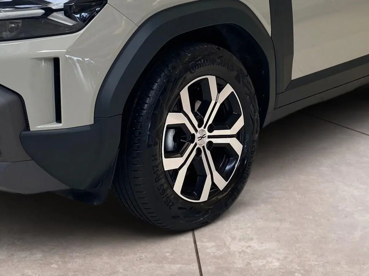 Dacia Duster Van usata a Torino (15)