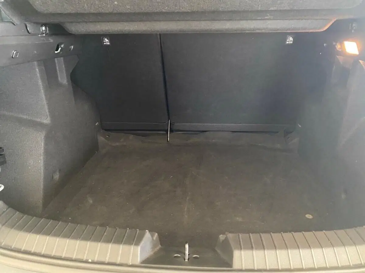 Dacia Duster Van usata a Torino (9)
