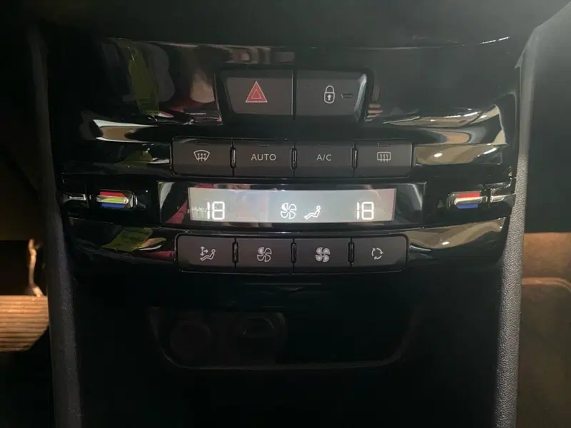 Peugeot 2008 usata a Torino (11)