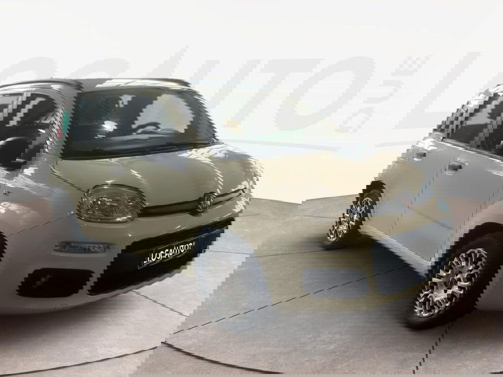 Fiat Panda usata a Torino (2)