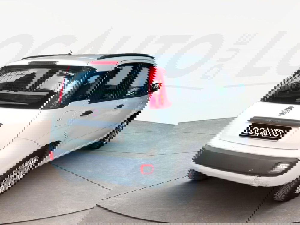 Fiat Panda usata a Torino (3)