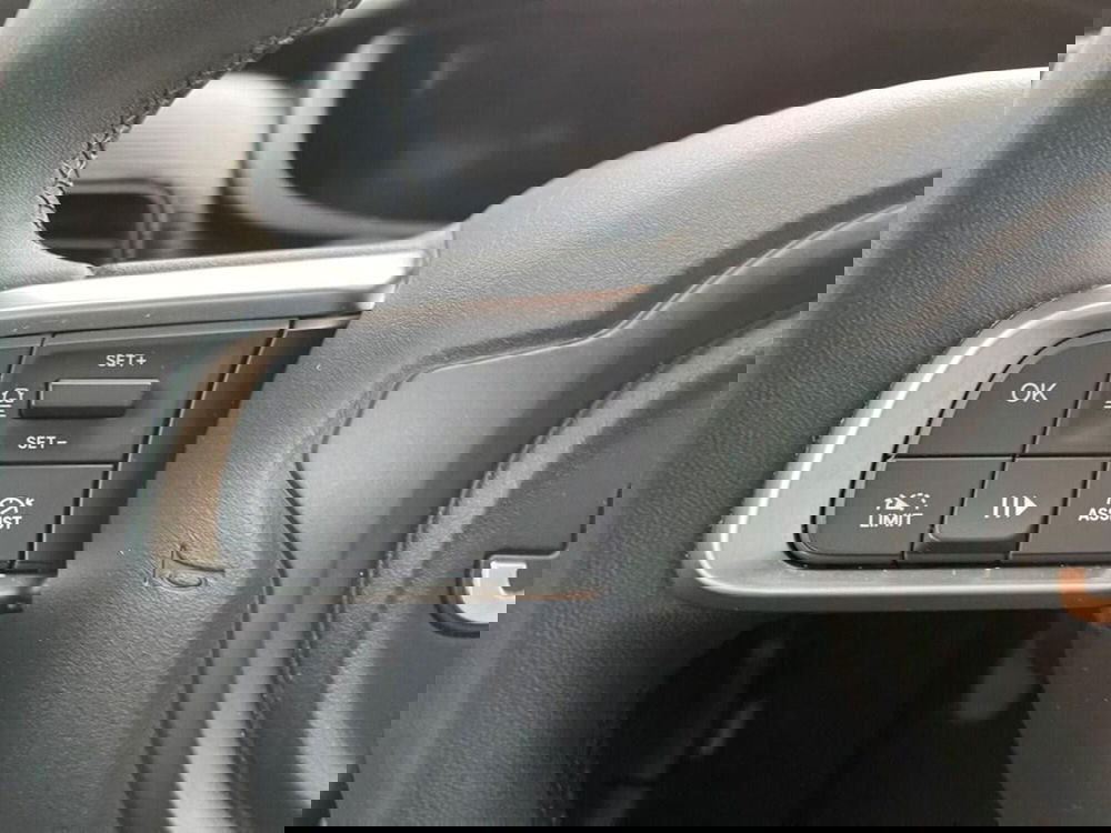 Jeep Avenger usata a Torino (14)