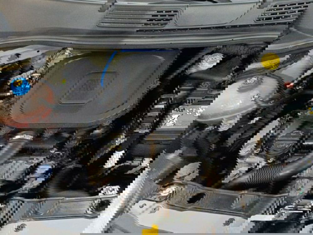 Fiat Panda usata a Catania (19)