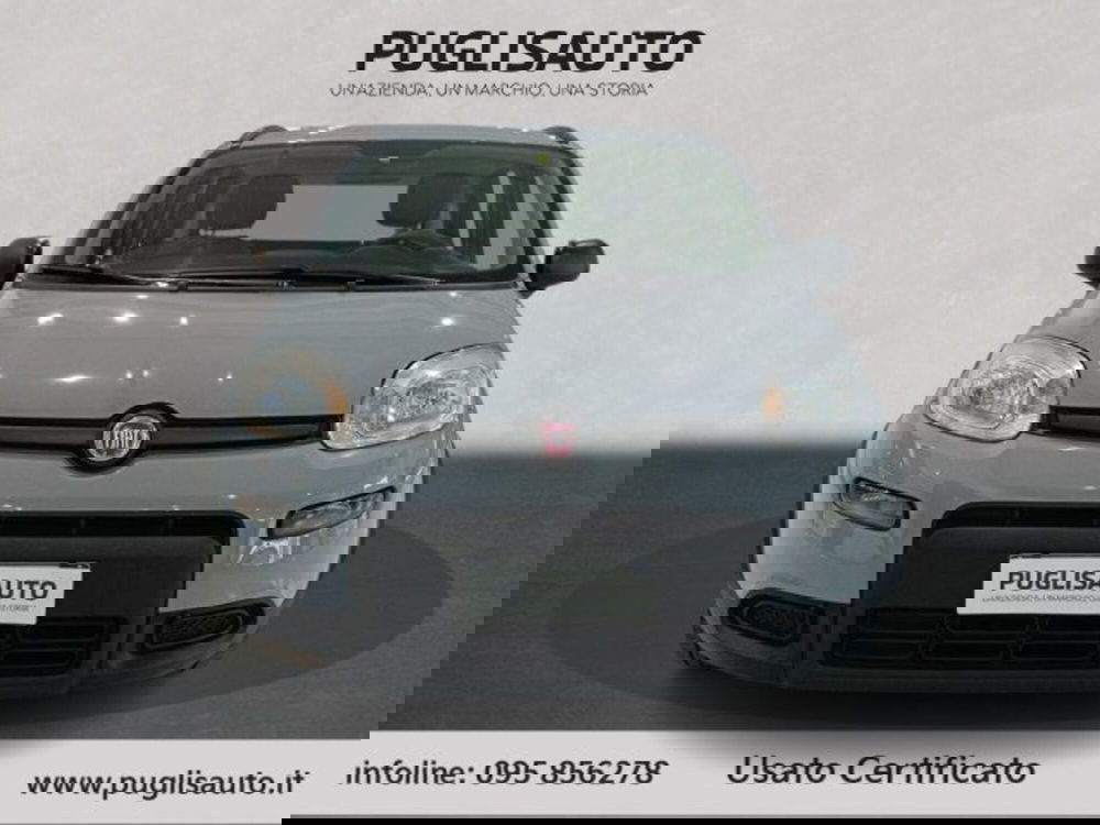 Fiat Panda usata a Catania (2)