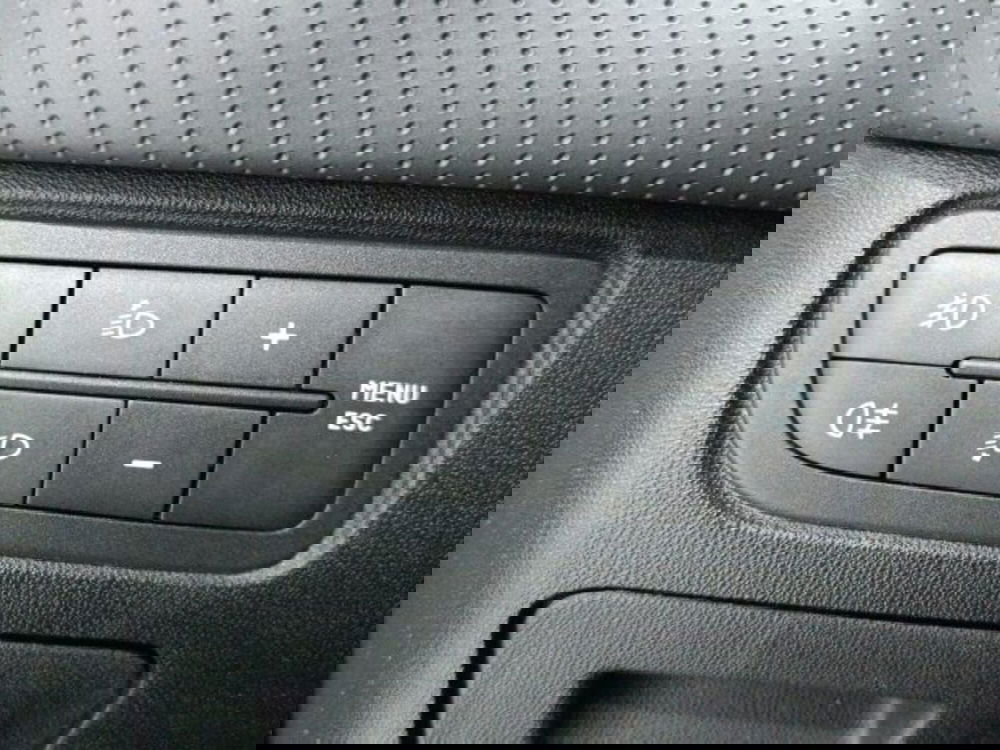 Fiat Punto Evo usata a Catania (18)