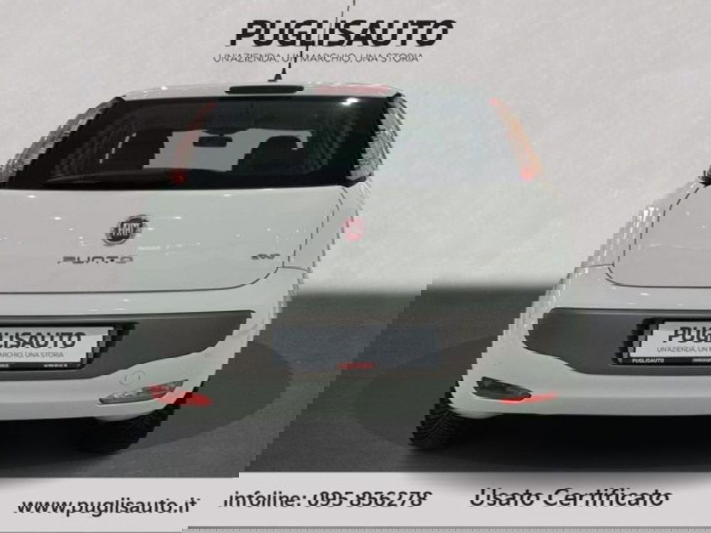 Fiat Punto Evo usata a Catania (5)