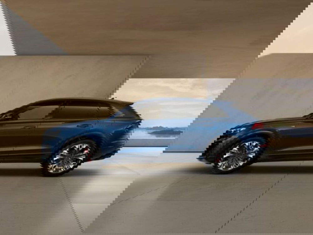 Audi Q8 usata a Treviso (3)