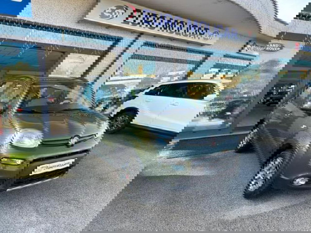 Fiat Panda usata a Campobasso