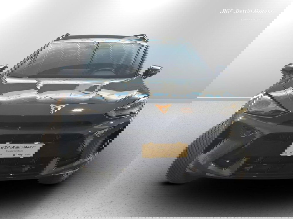 Cupra Formentor usata a Padova (7)