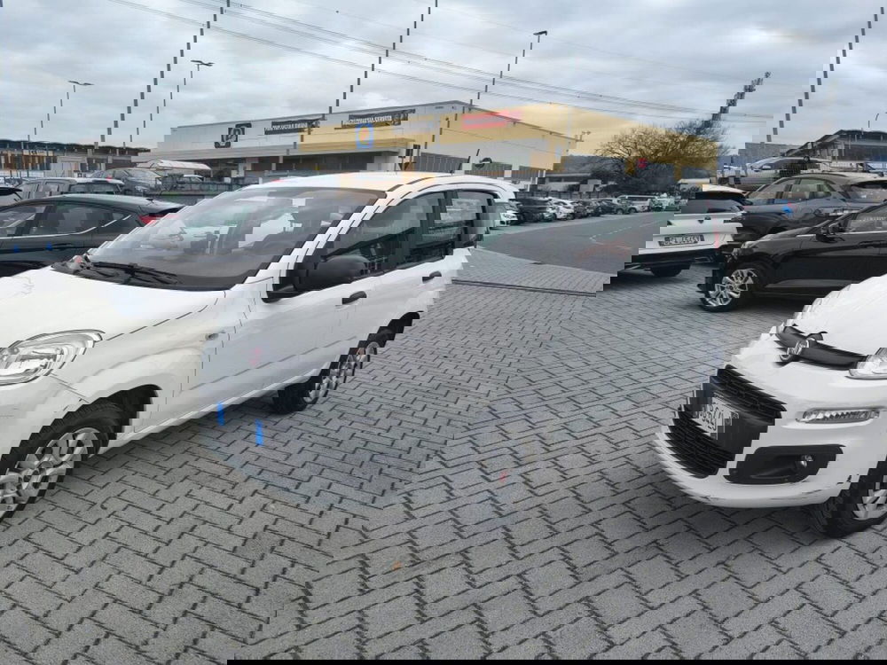 Fiat Panda usata a Firenze