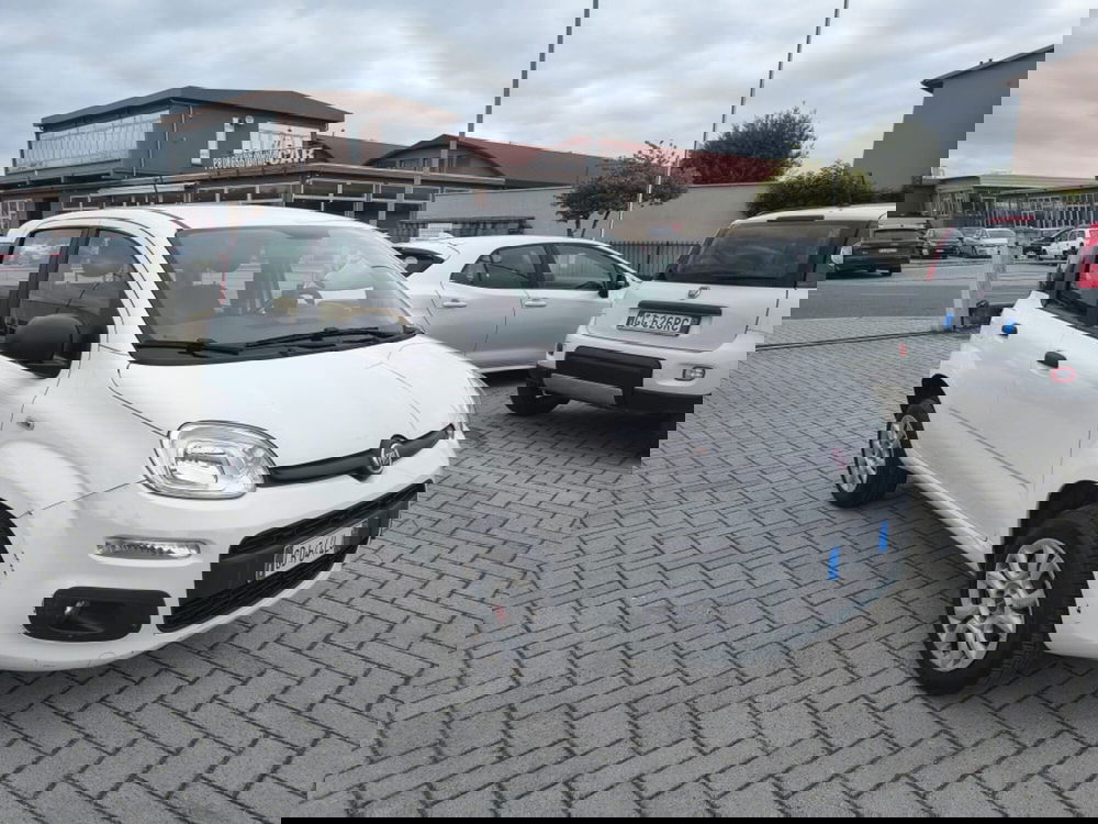 Fiat Panda usata a Firenze (3)