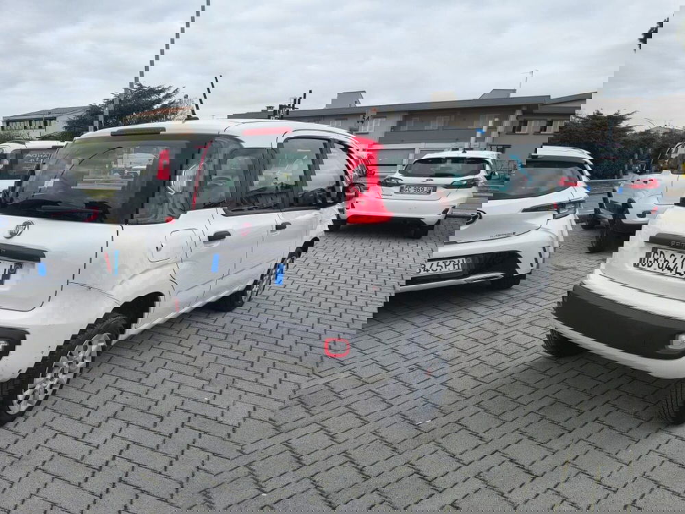 Fiat Panda usata a Firenze (4)