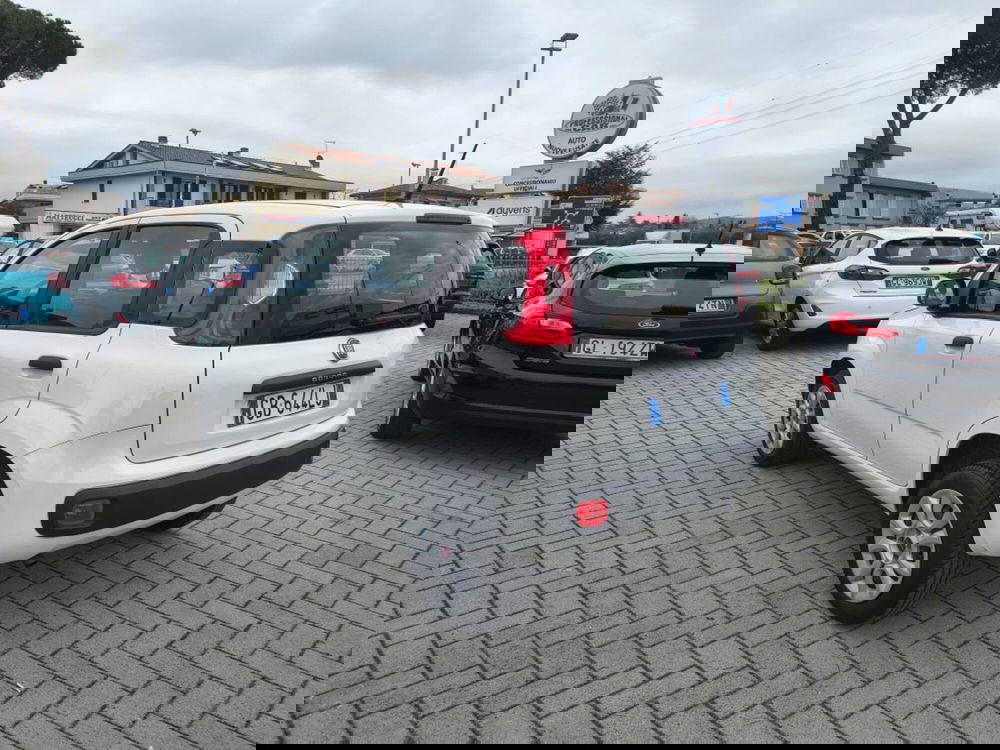 Fiat Panda usata a Firenze (6)