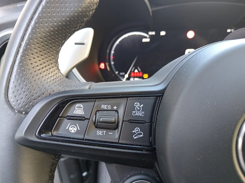 Alfa Romeo Stelvio usata a Alessandria (17)