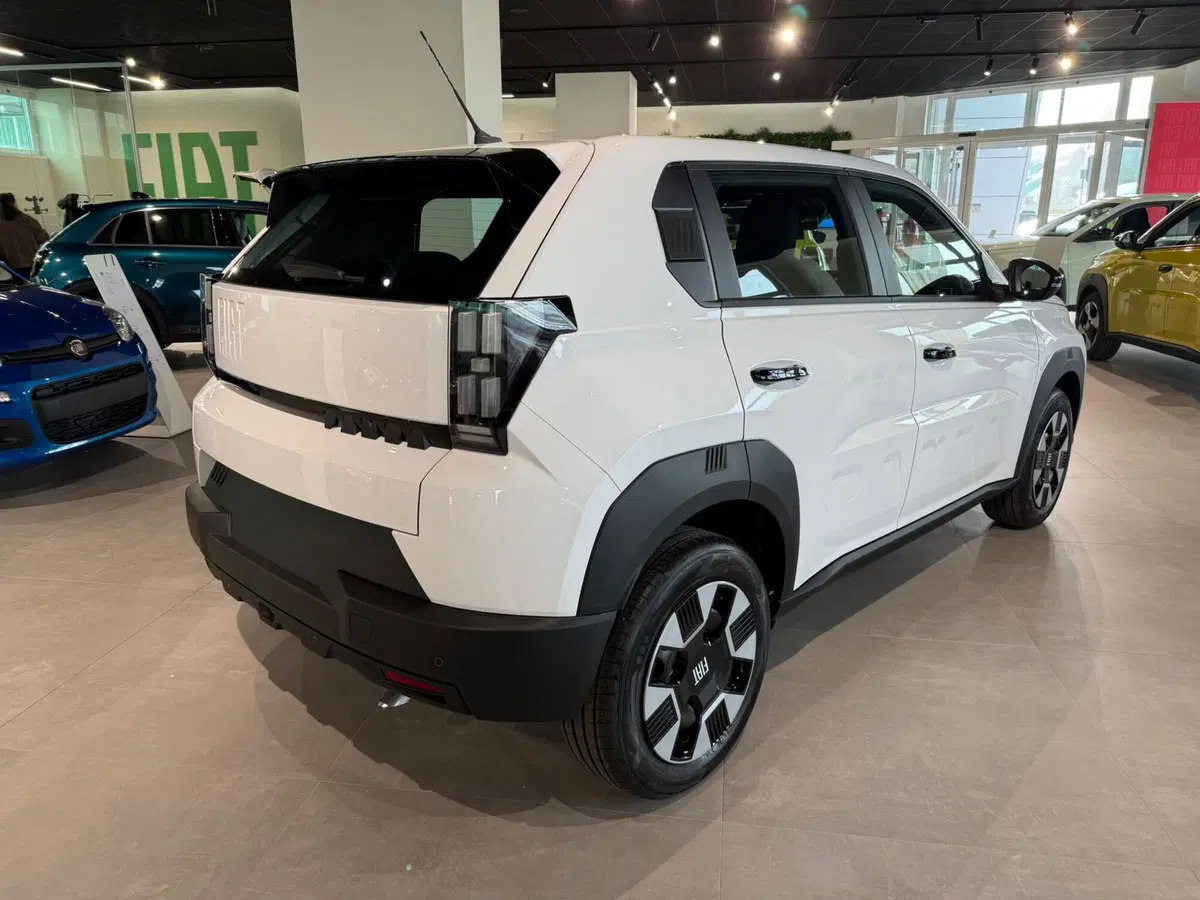 Fiat Grande Panda nuova a Reggio Emilia (4)