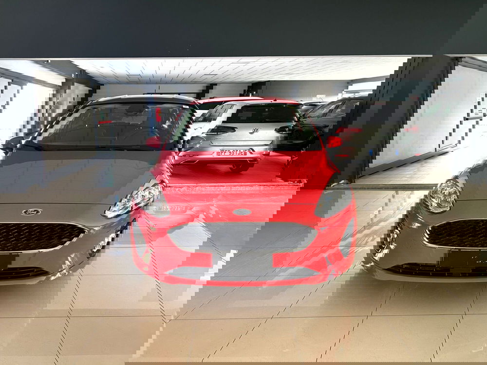 Ford Fiesta usata a Ferrara (2)