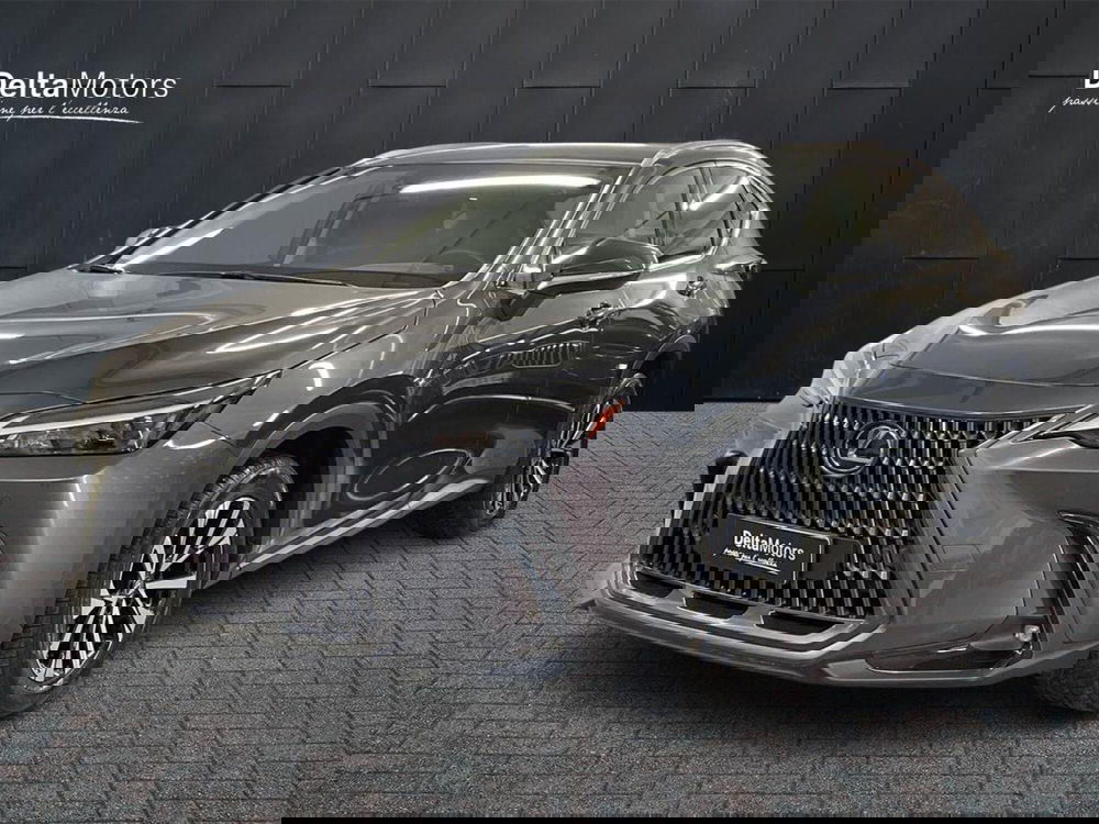 Lexus NX usata a Macerata