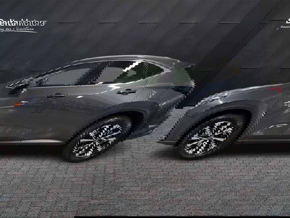 Lexus NX usata a Macerata (2)