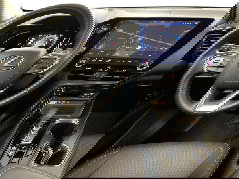 Lexus NX usata a Macerata (20)