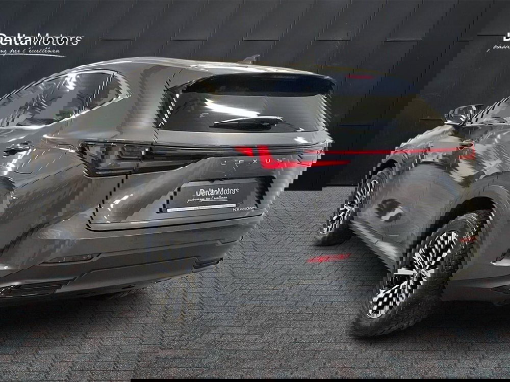 Lexus NX usata a Macerata (3)