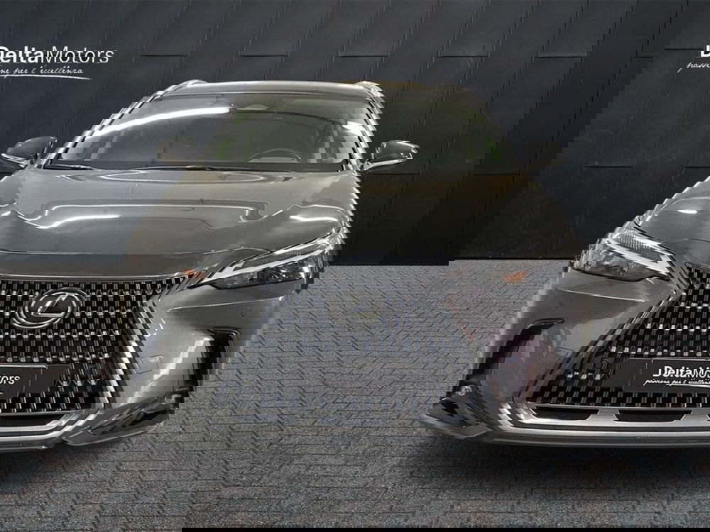 Lexus NX usata a Macerata (6)