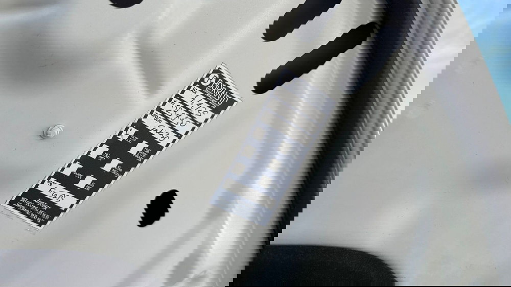 Dacia Sandero usata a Treviso (19)