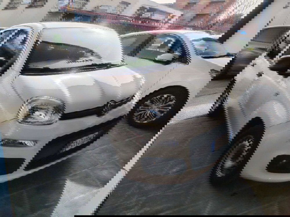 Fiat Panda usata a Firenze (2)