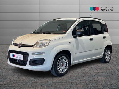 Fiat Panda 1.2 Easy del 2017 usata a Vinci