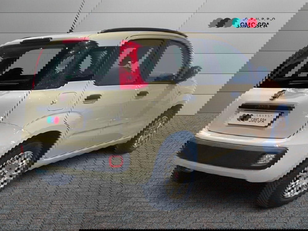 Fiat Panda usata a Firenze (3)