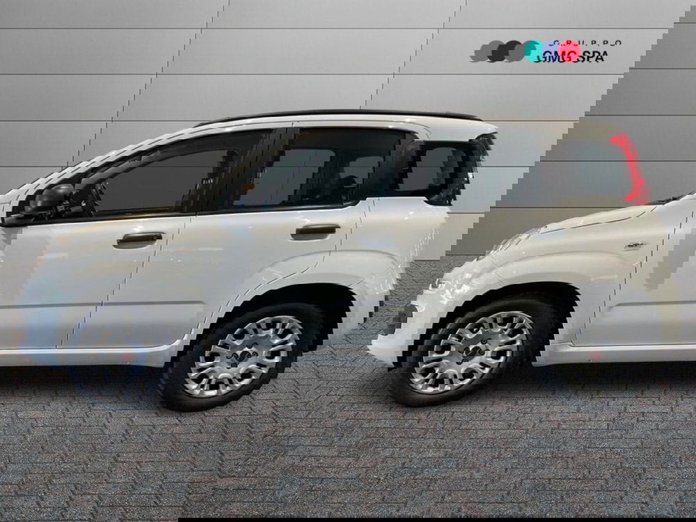 Fiat Panda usata a Firenze (5)