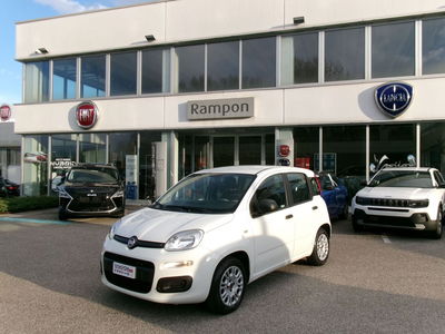 Fiat Panda 1.2 Easy del 2016 usata a San Dona' Di Piave