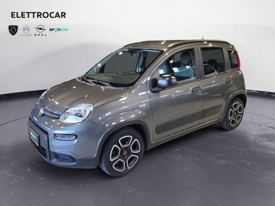 Fiat Panda 1.0 FireFly S&amp;S Hybrid City Cross del 2022 usata a Bassano del Grappa