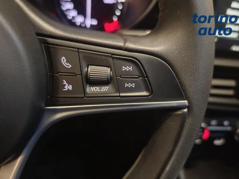 Alfa Romeo Giulia usata a Torino (12)