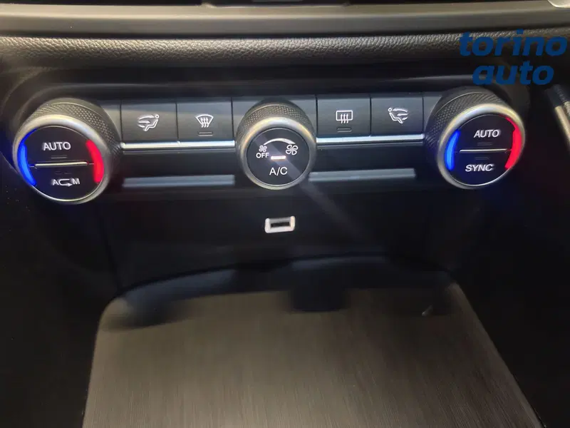 Alfa Romeo Giulia usata a Torino (15)