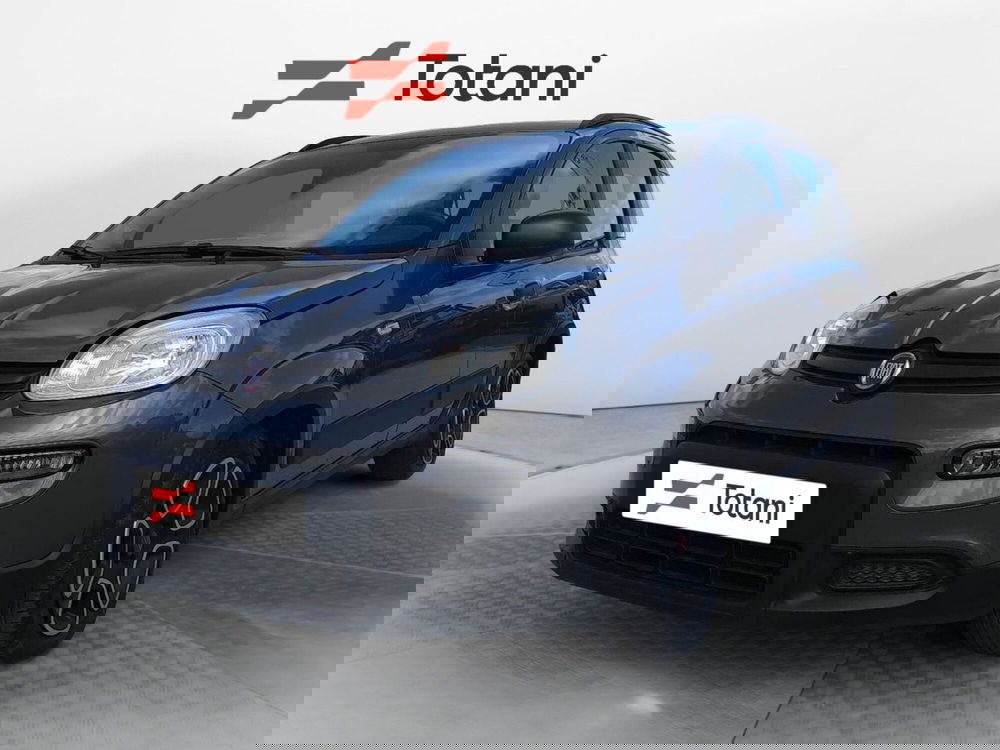 Fiat Panda usata a L'Aquila