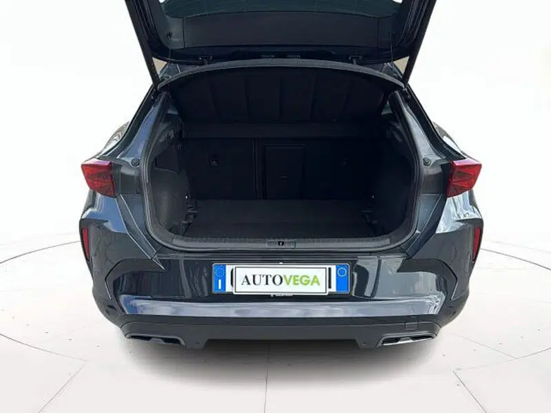 Cupra Formentor usata a Vicenza (11)