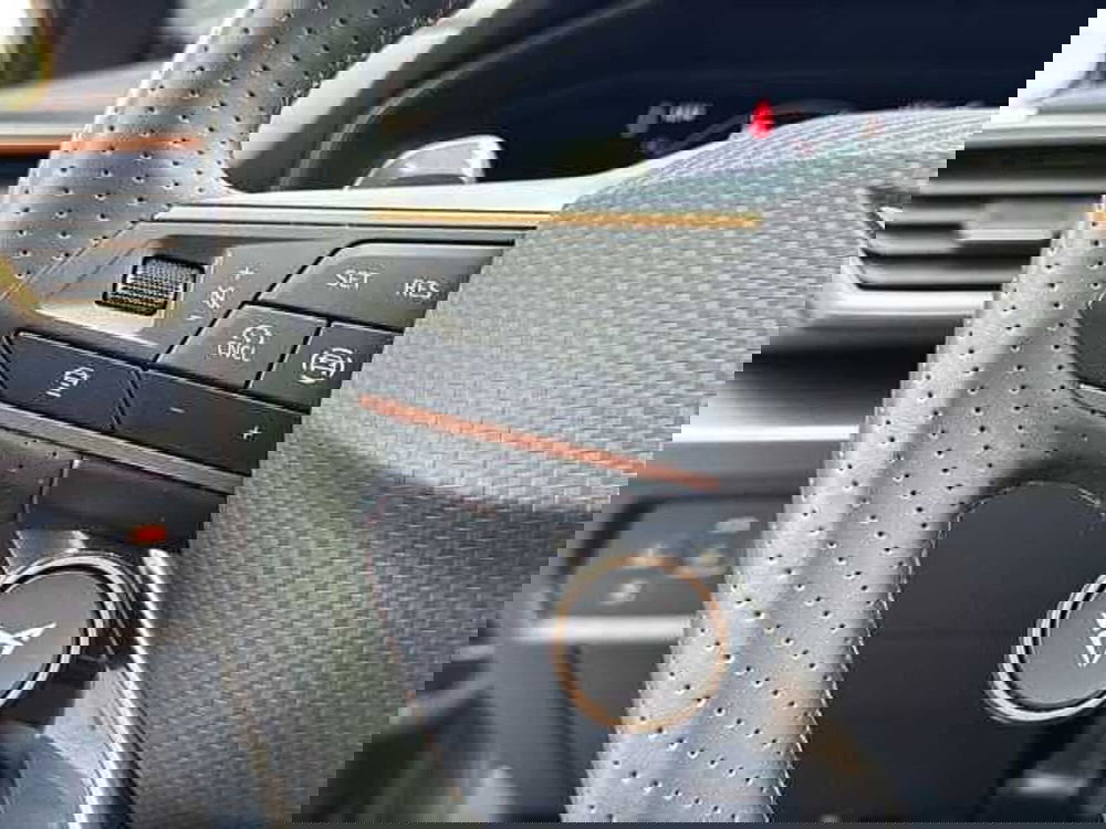 Cupra Formentor usata a Vicenza (20)