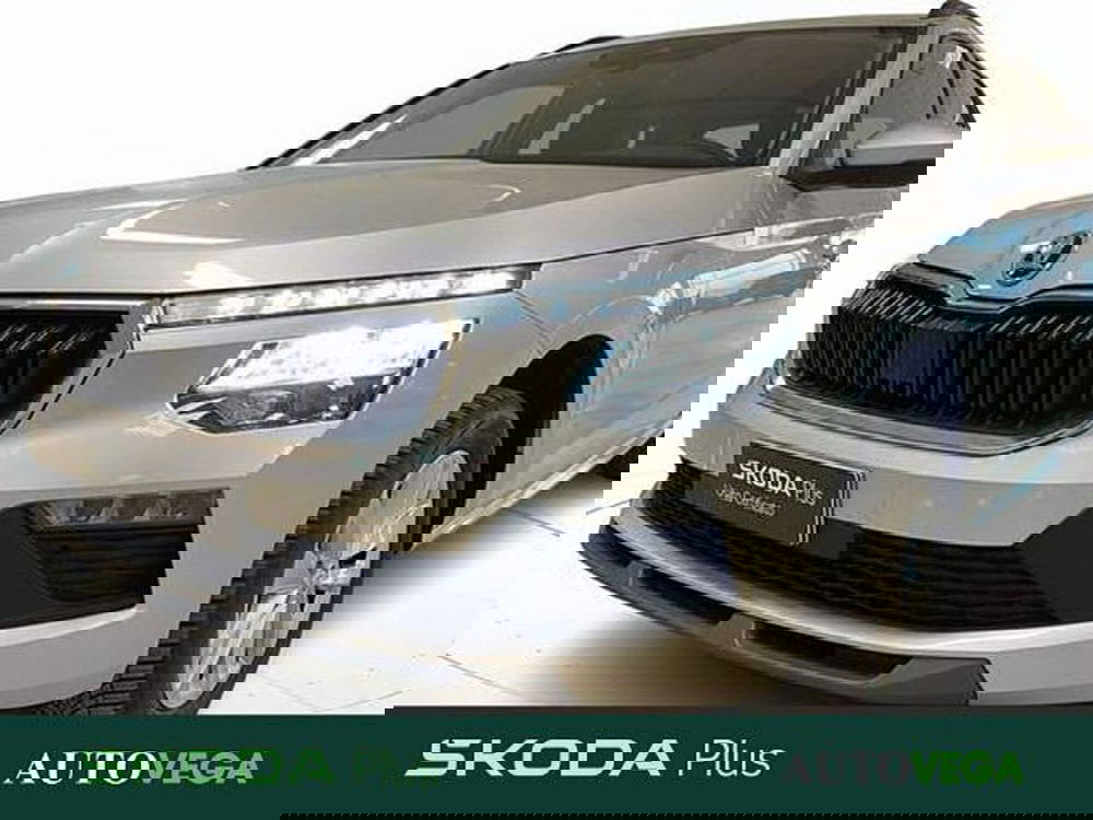 Skoda Kamiq usata a Vicenza (19)