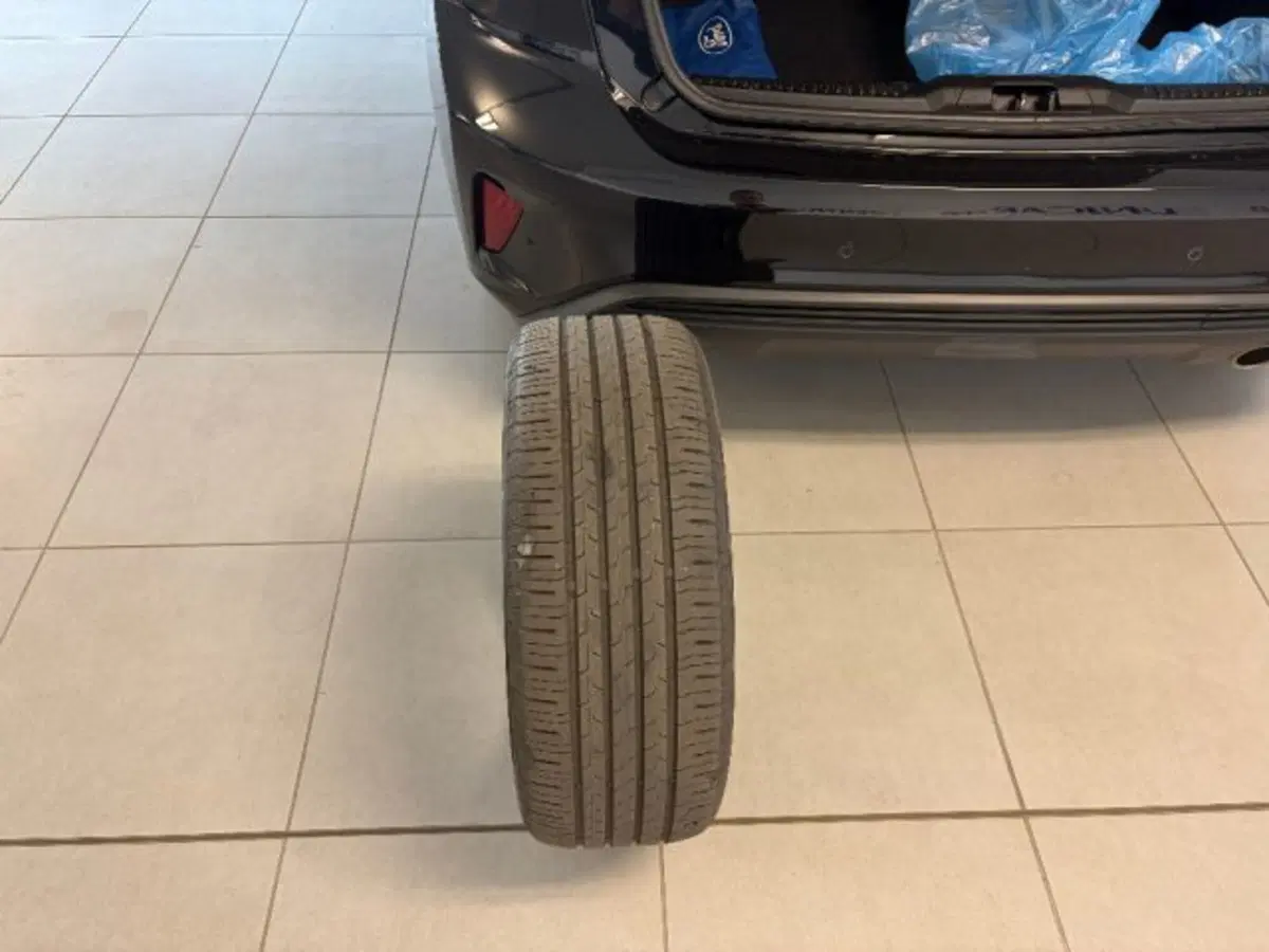 Ford Focus usata a Cuneo (14)