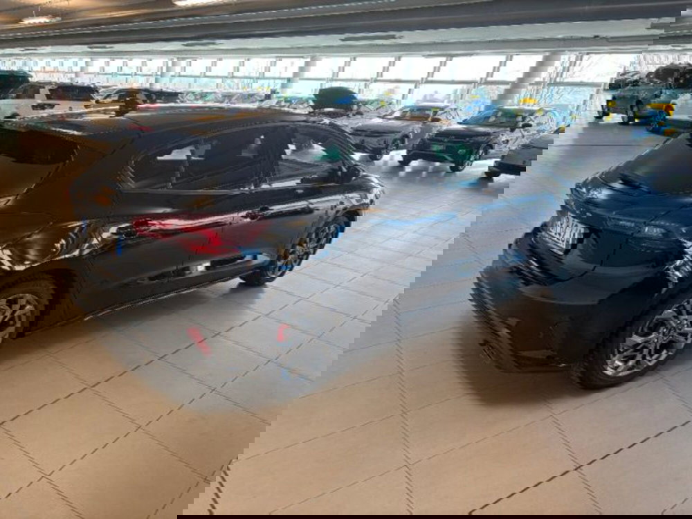 Ford Focus usata a Cuneo (4)