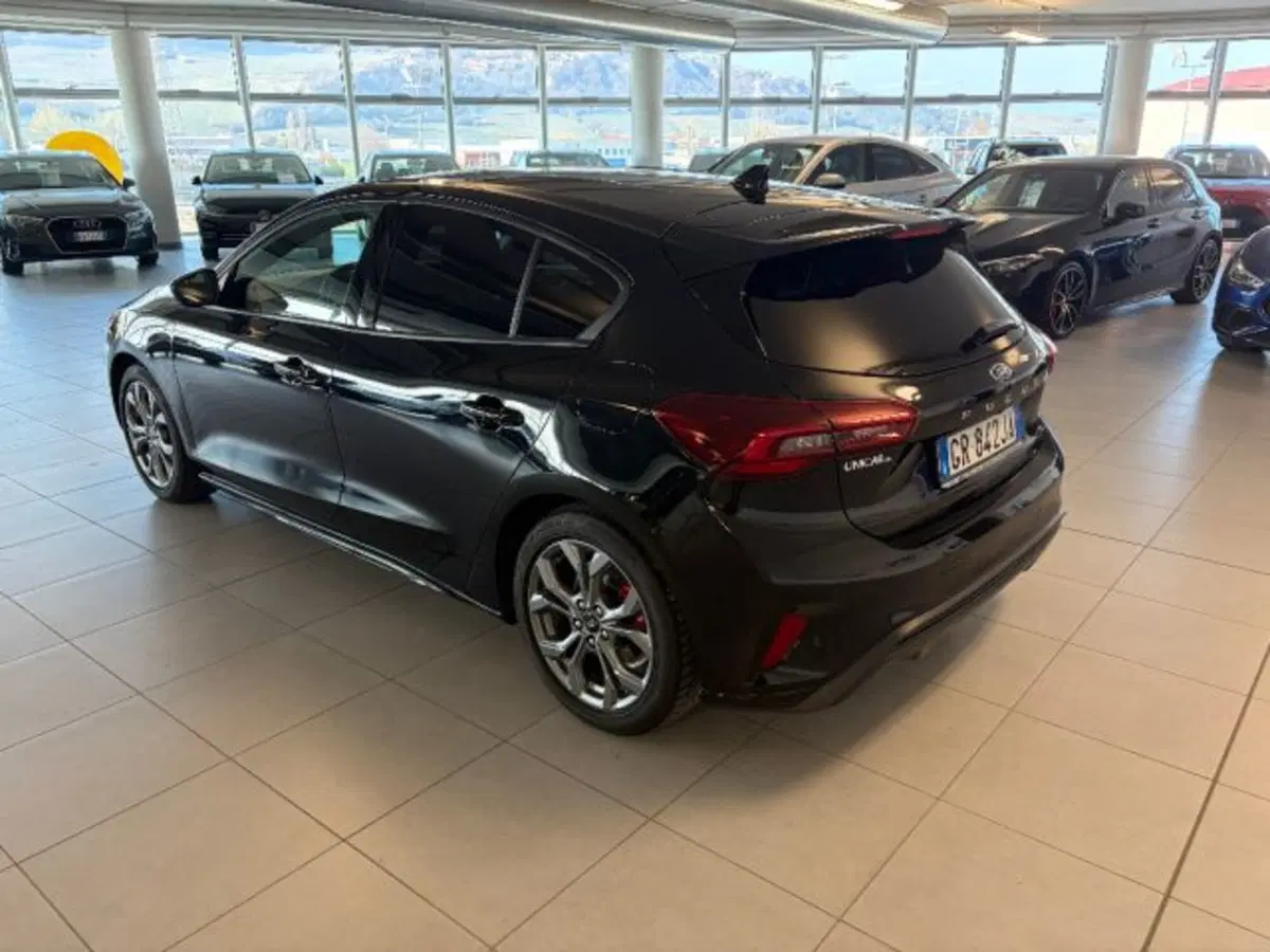Ford Focus usata a Cuneo (6)
