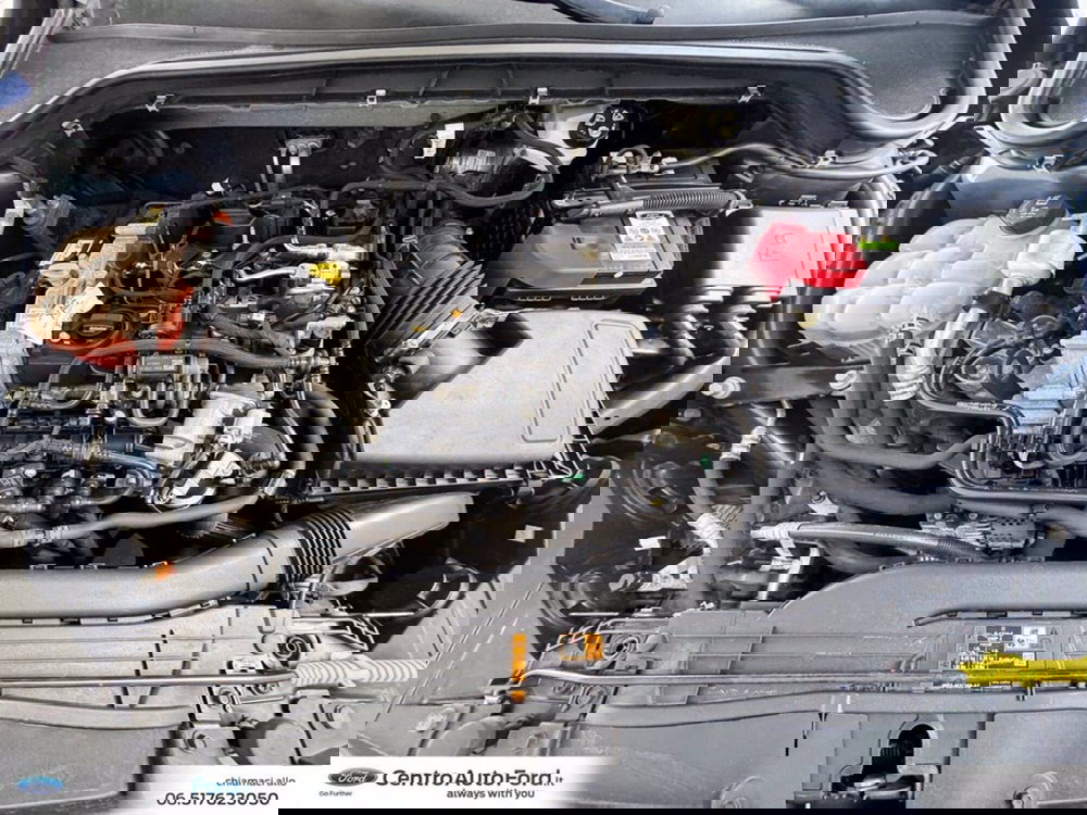 Ford Focus usata a Roma (12)