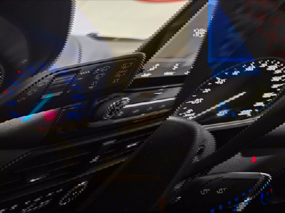 Ford EcoSport usata a Palermo (17)